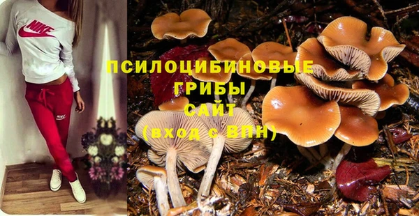 прущая мука Белокуриха