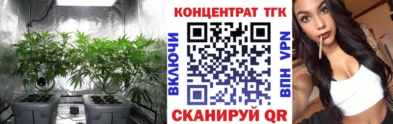 наркота  Верхний Уфалей  площадка какой сайт  ТГК гашишное масло 
