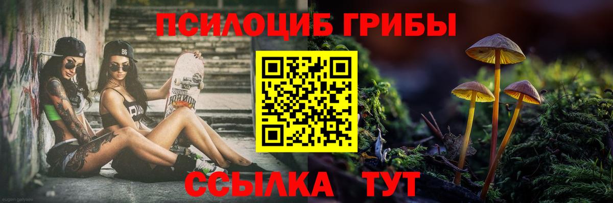 Галлюциногенные грибы Cubensis  Вход с VPN  Верхний Уфалей 